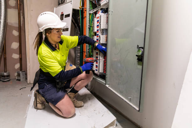 Best Electric Panel Repair  in Marine, IL